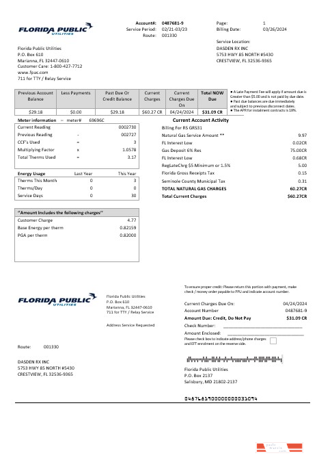 USA Florida Public Utilities business utility bill template in Word and PDF formats